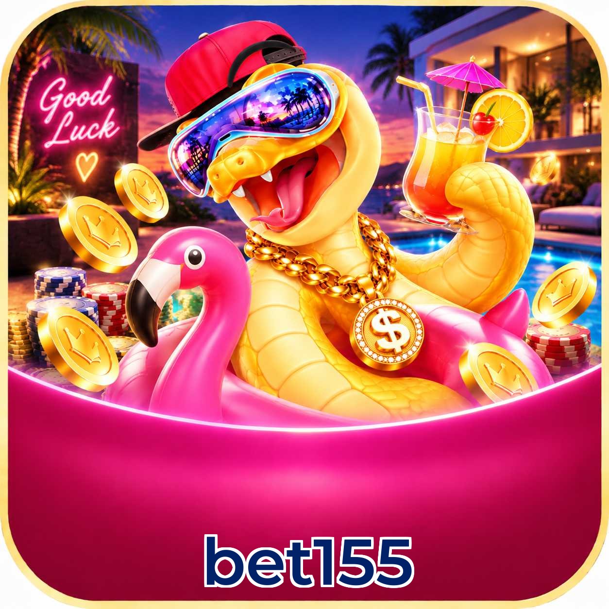 bet155 App vs Web