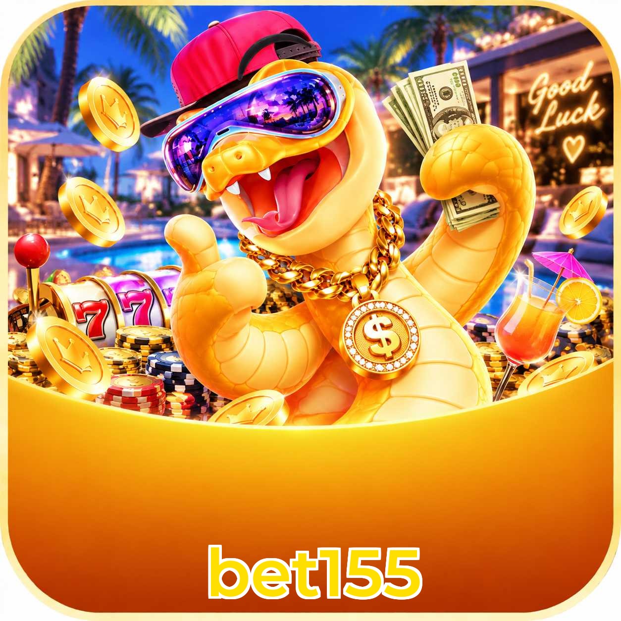bet155 Compatibilidade